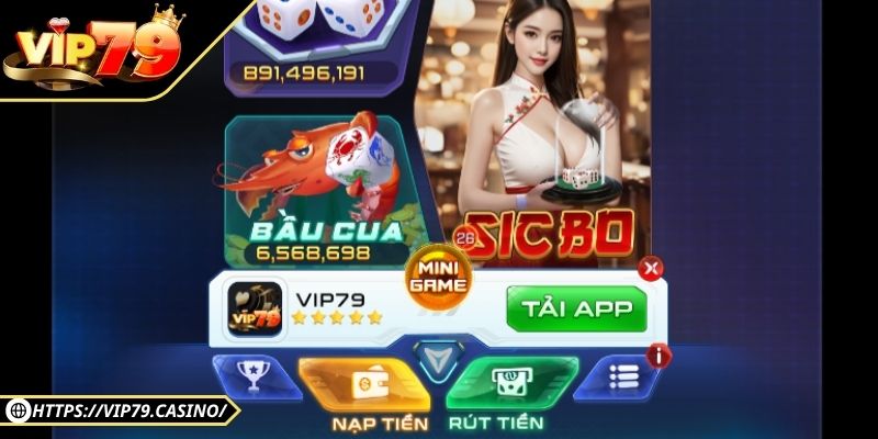 Tổng quan về ứng dụng cá cược đẳng cấp